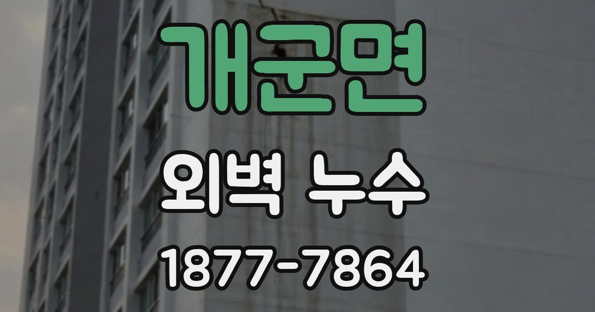 개군면 외벽 누수