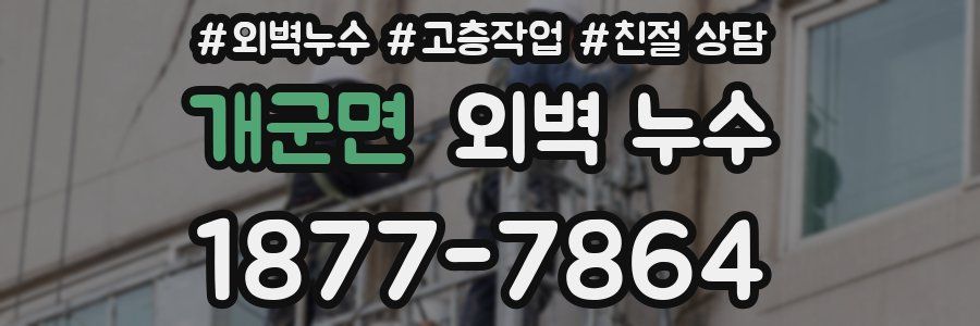 개군면 외벽 누수