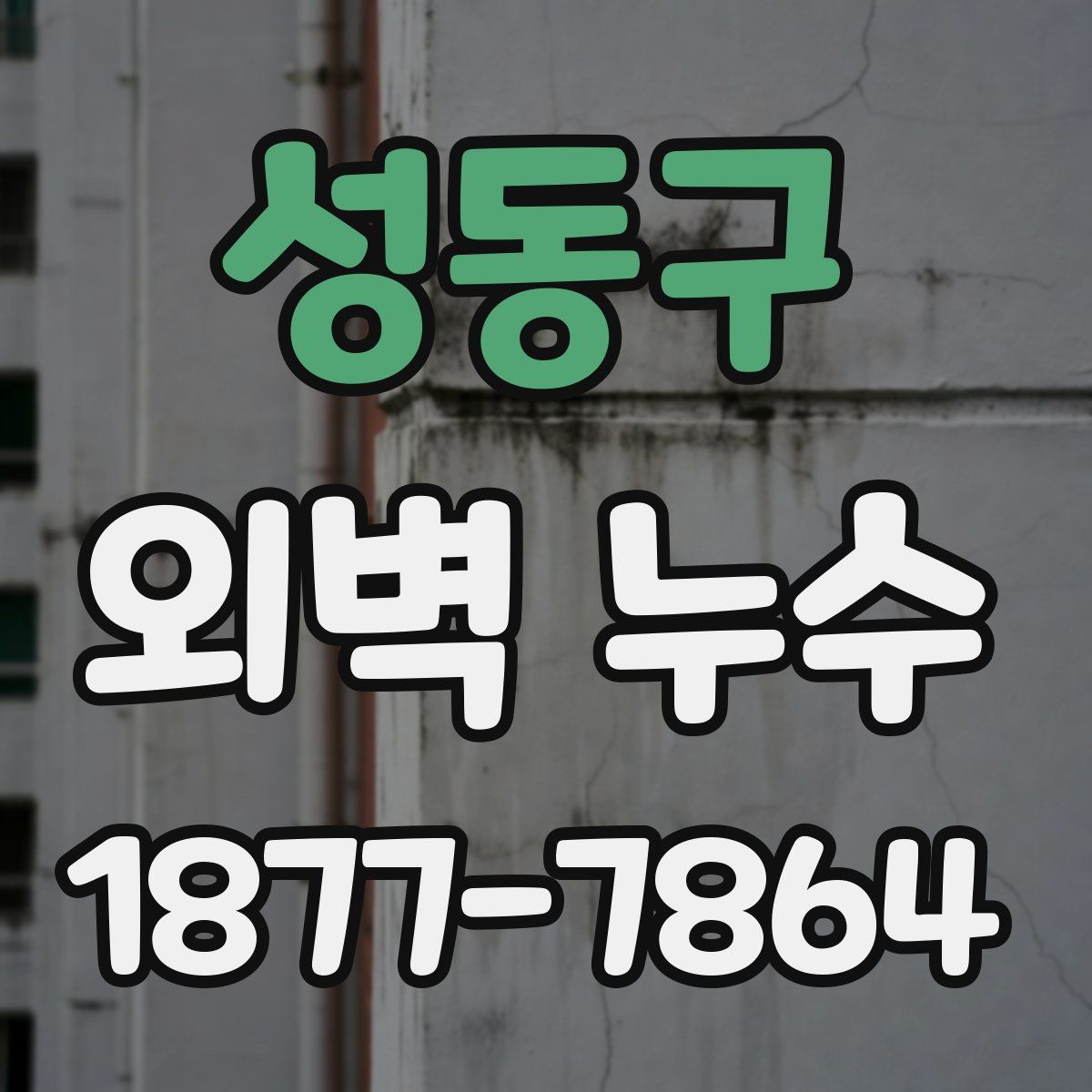 성동구 외벽 누수