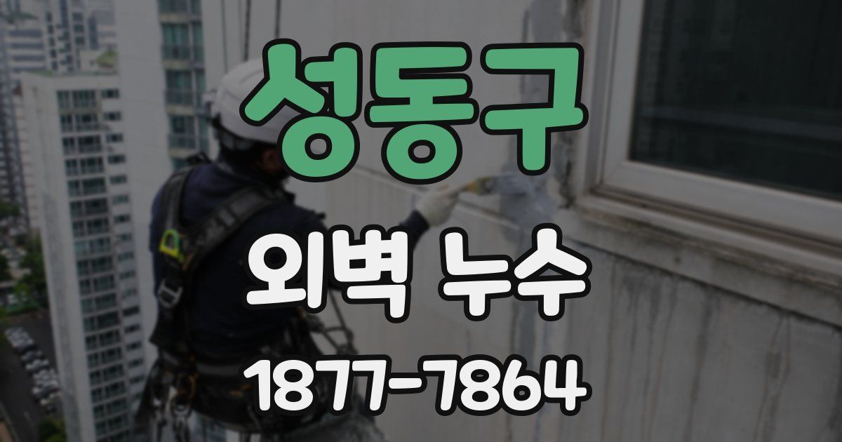 성동구 외벽 누수