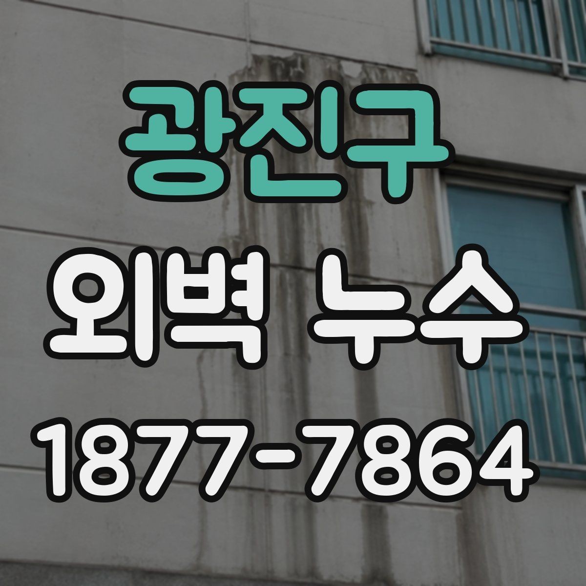 광진구 외벽 누수 확인 후 보험과 보상 살펴보기