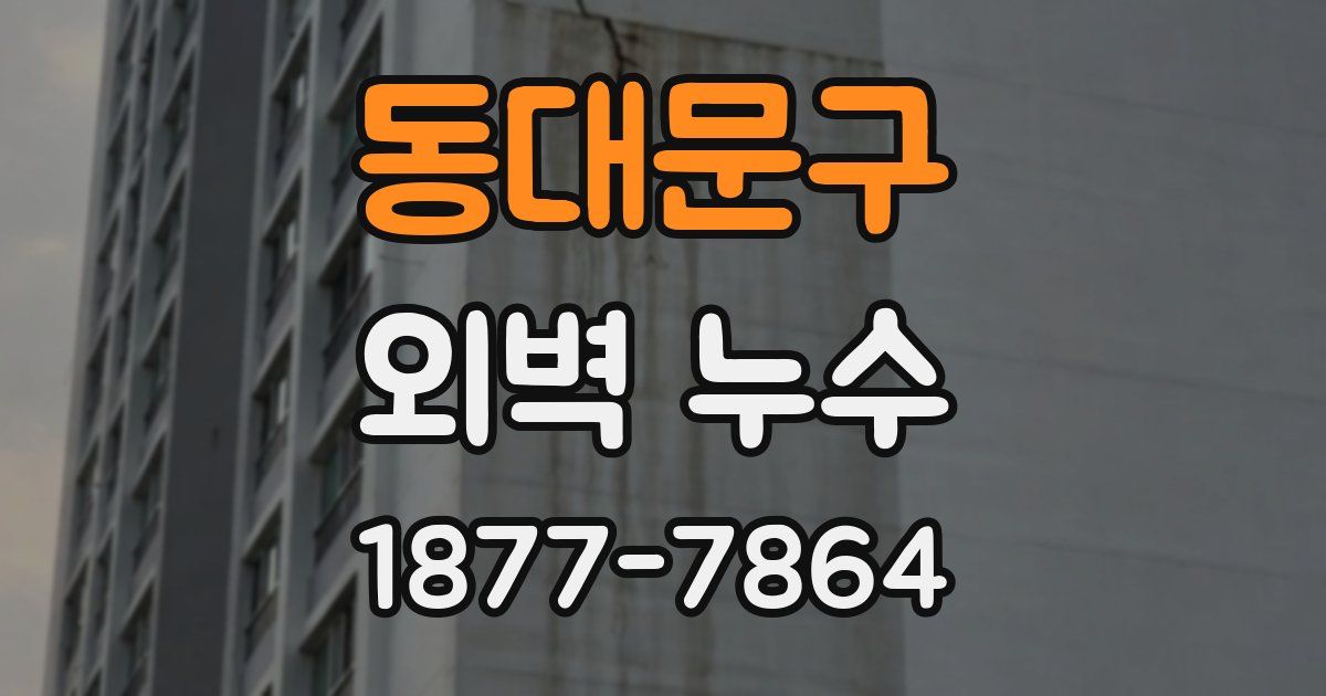 동대문구 외벽 누수