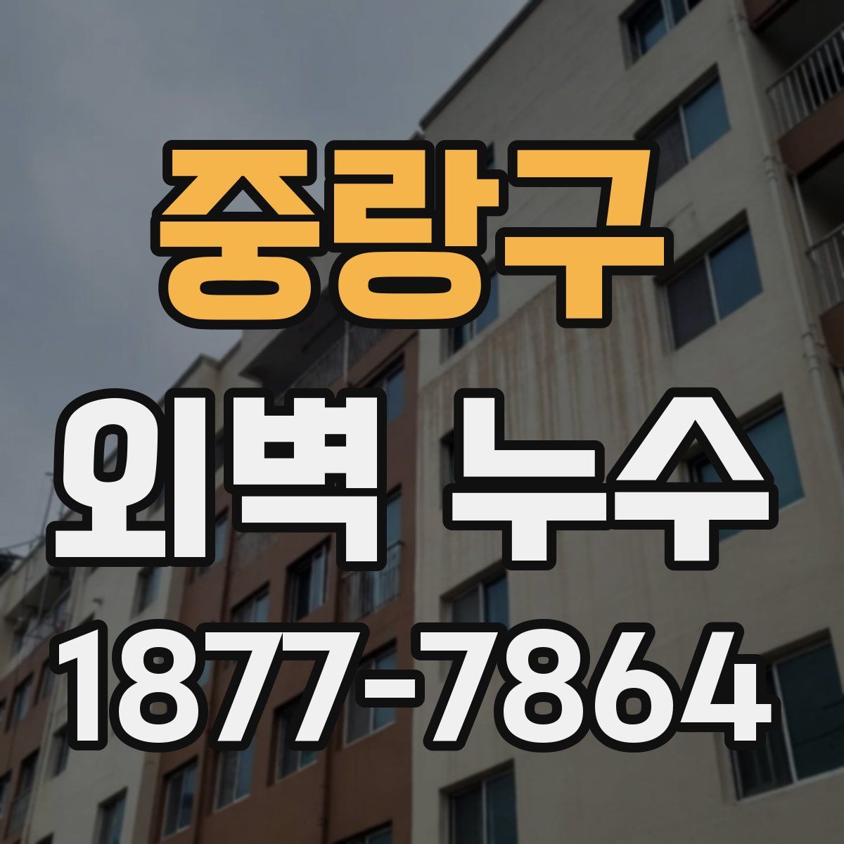중랑구 외벽 누수