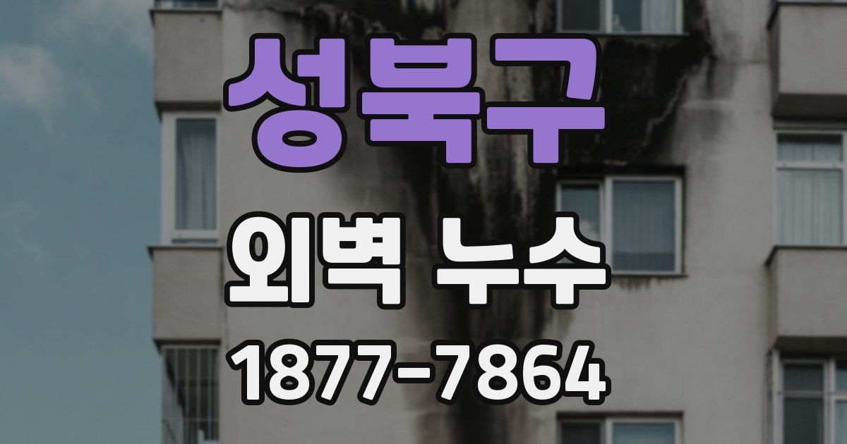 성북구 외벽 누수