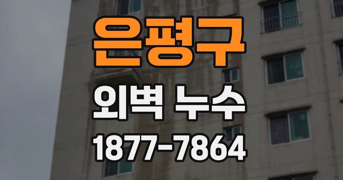 은평구 외벽 누수