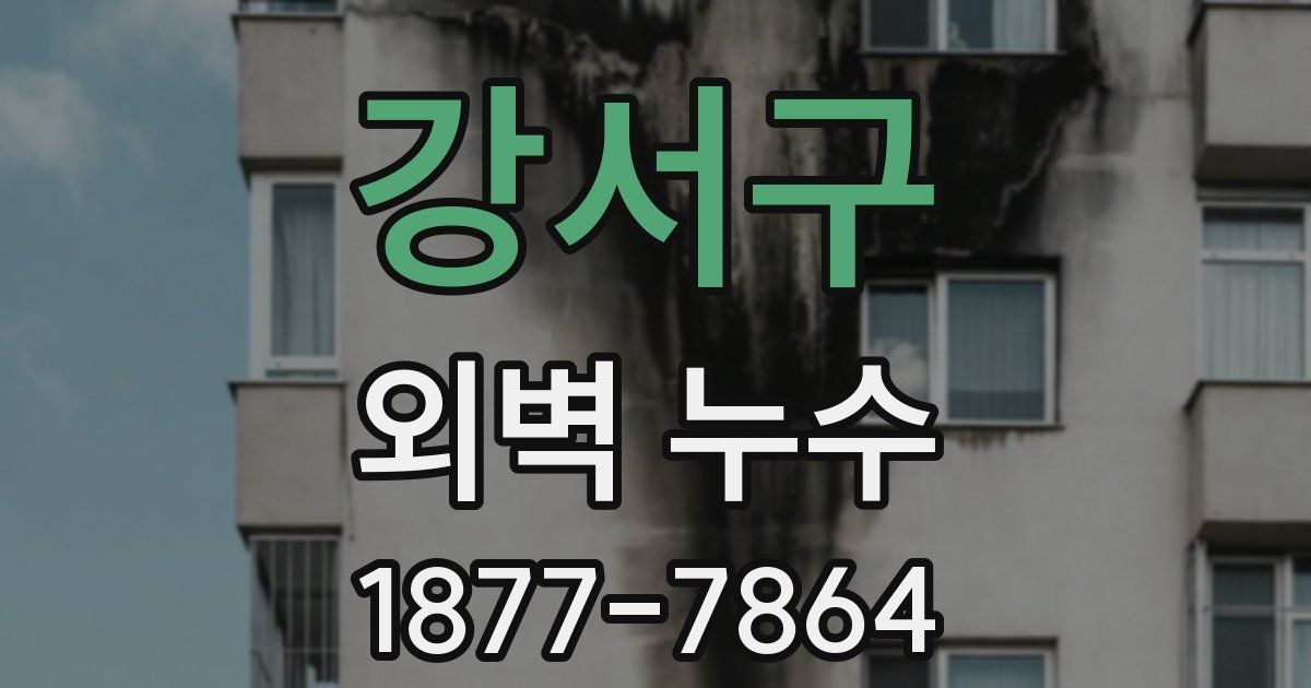 강서구 외벽 누수