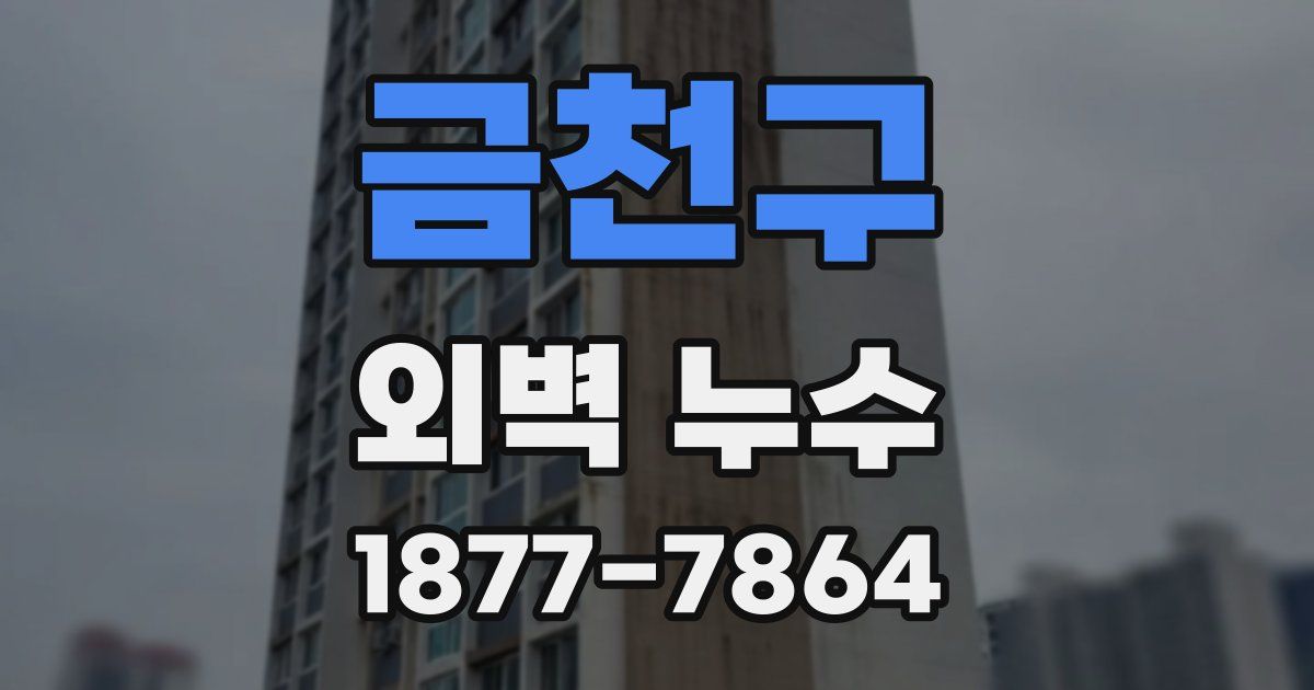 금천구 외벽 누수