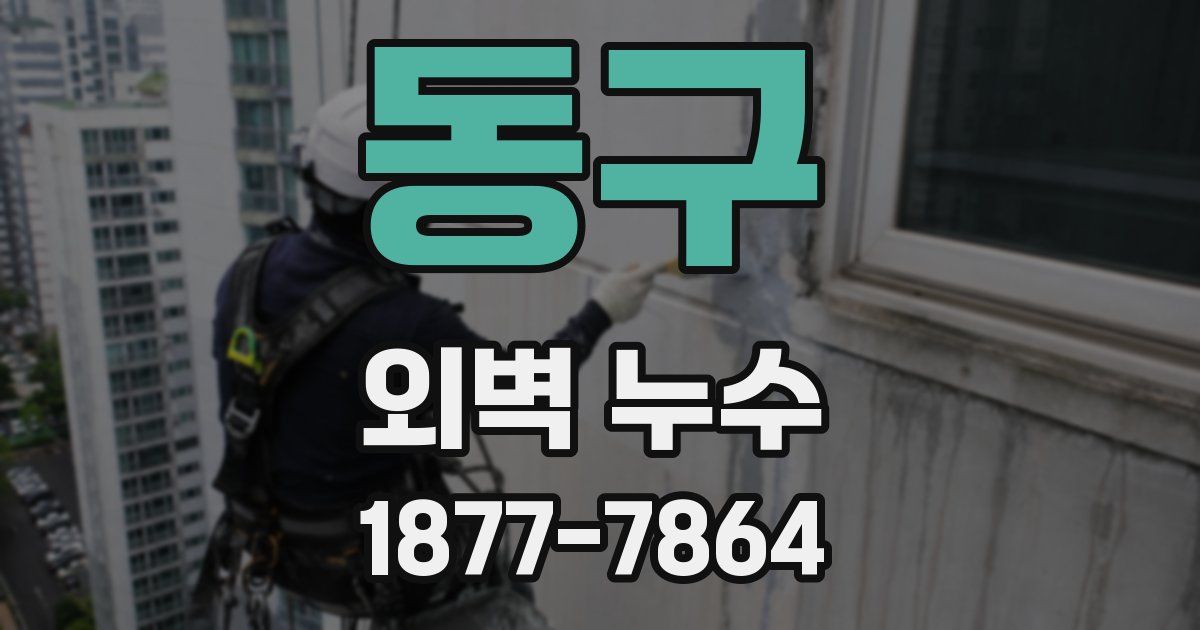 동구 외벽 누수