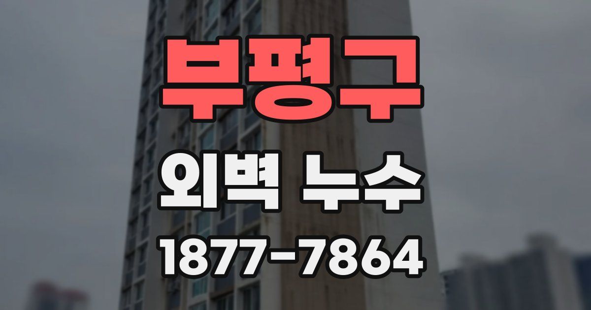 부평구 외벽 누수