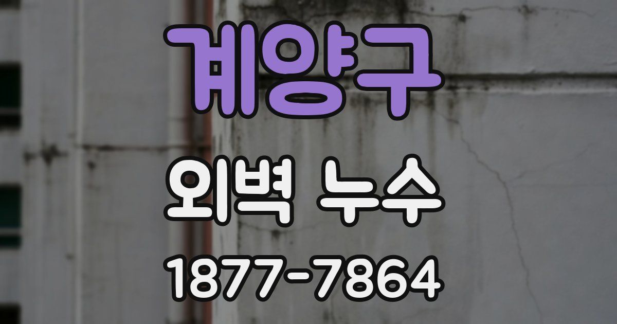계양구 외벽 누수