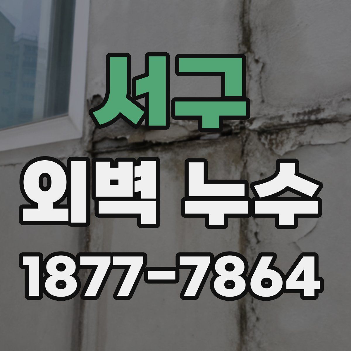서구 외벽 누수