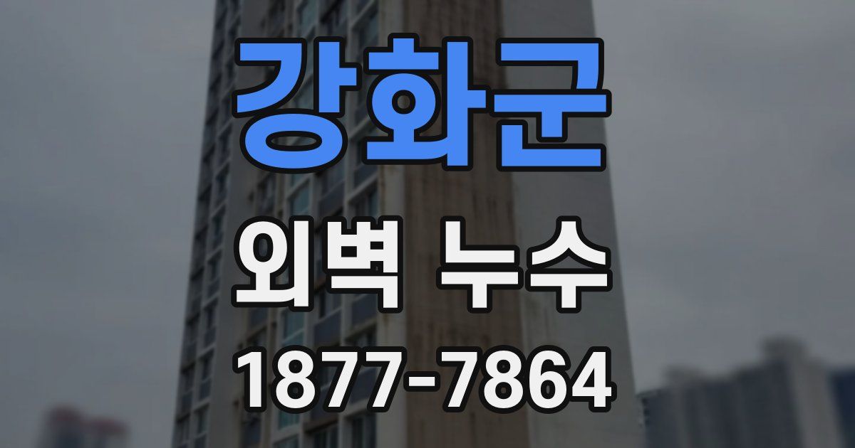 강화군 외벽 누수