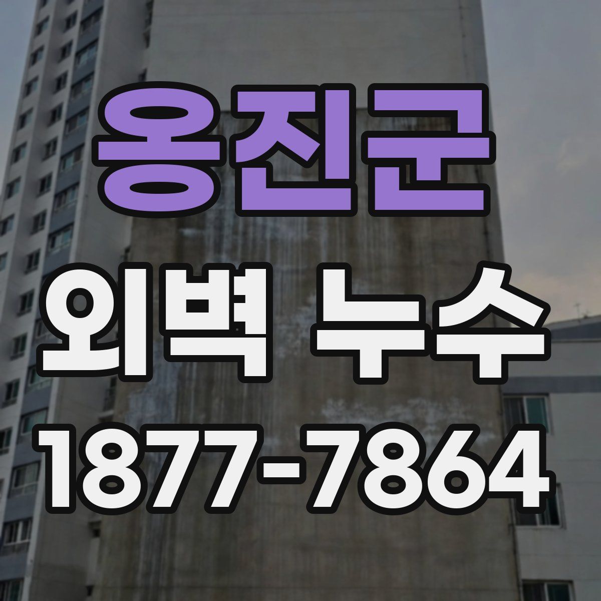 옹진군 외벽 누수