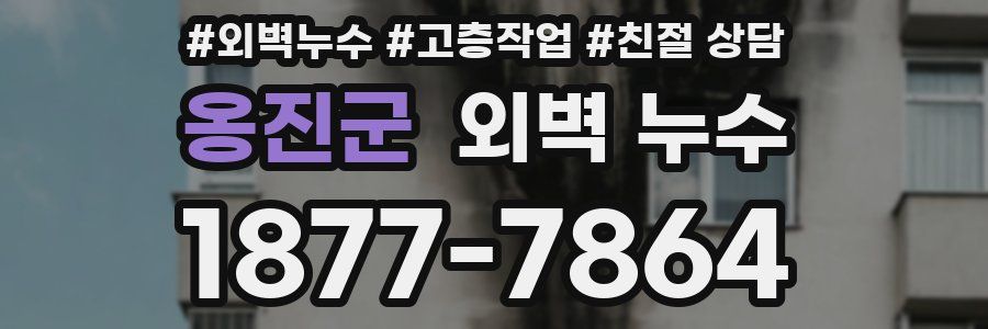 옹진군 외벽 누수