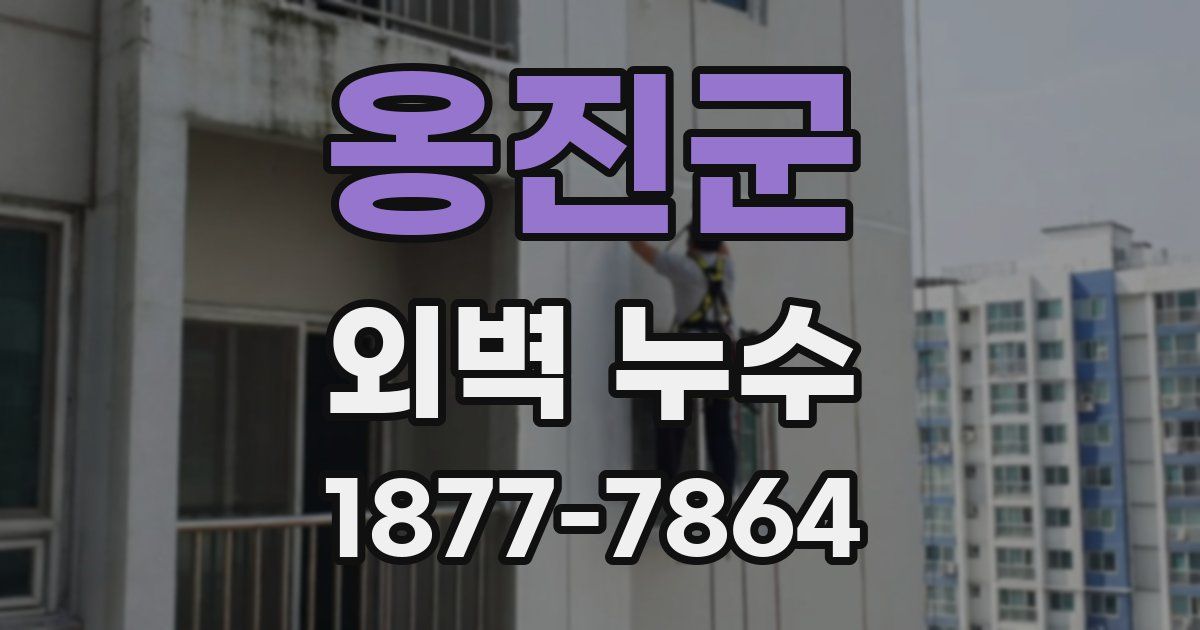옹진군 외벽 누수