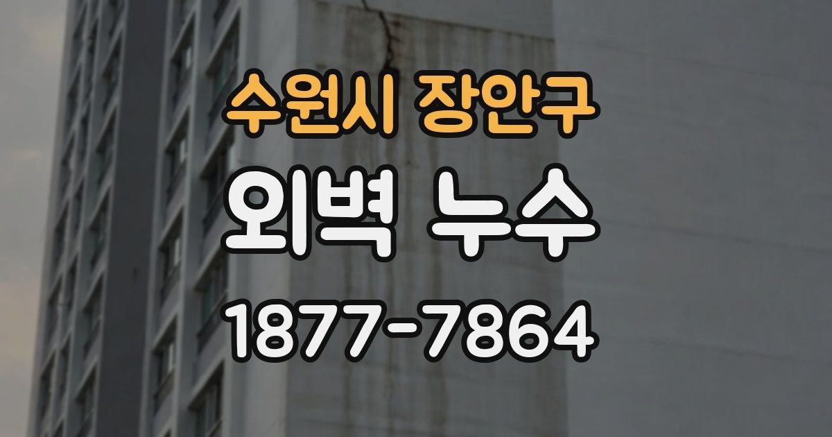 수원시 장안구 외벽 누수