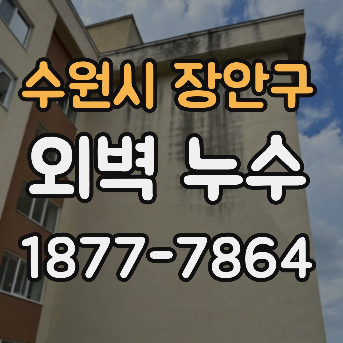 수원시 장안구 외벽 누수