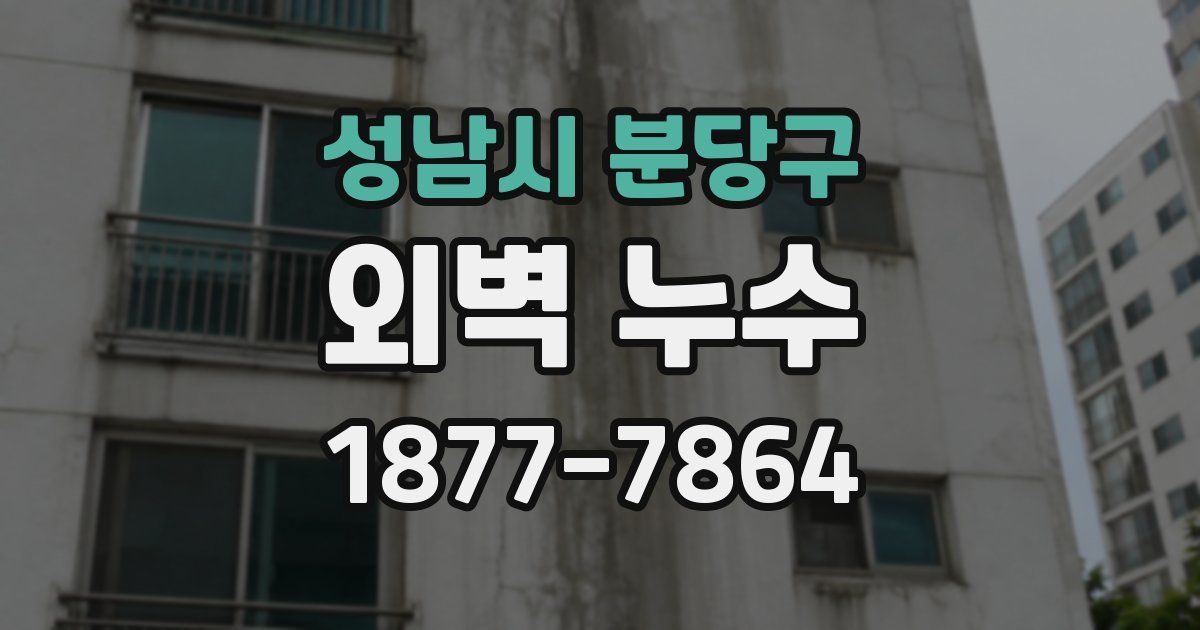 성남시 분당구 외벽 누수