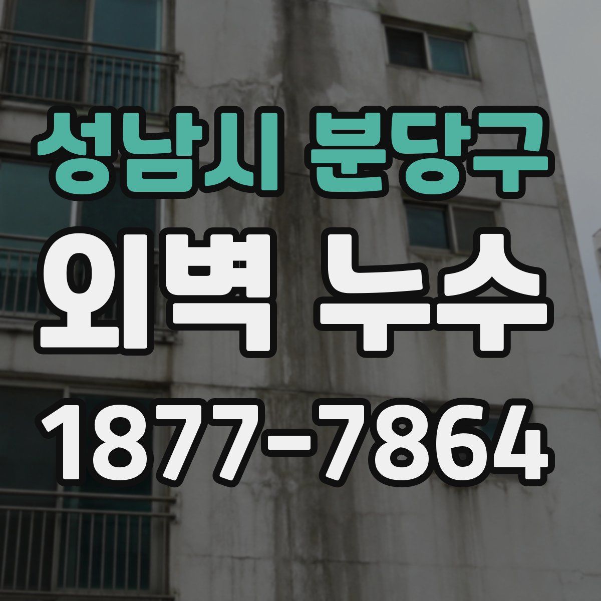 성남시 분당구 외벽 누수
