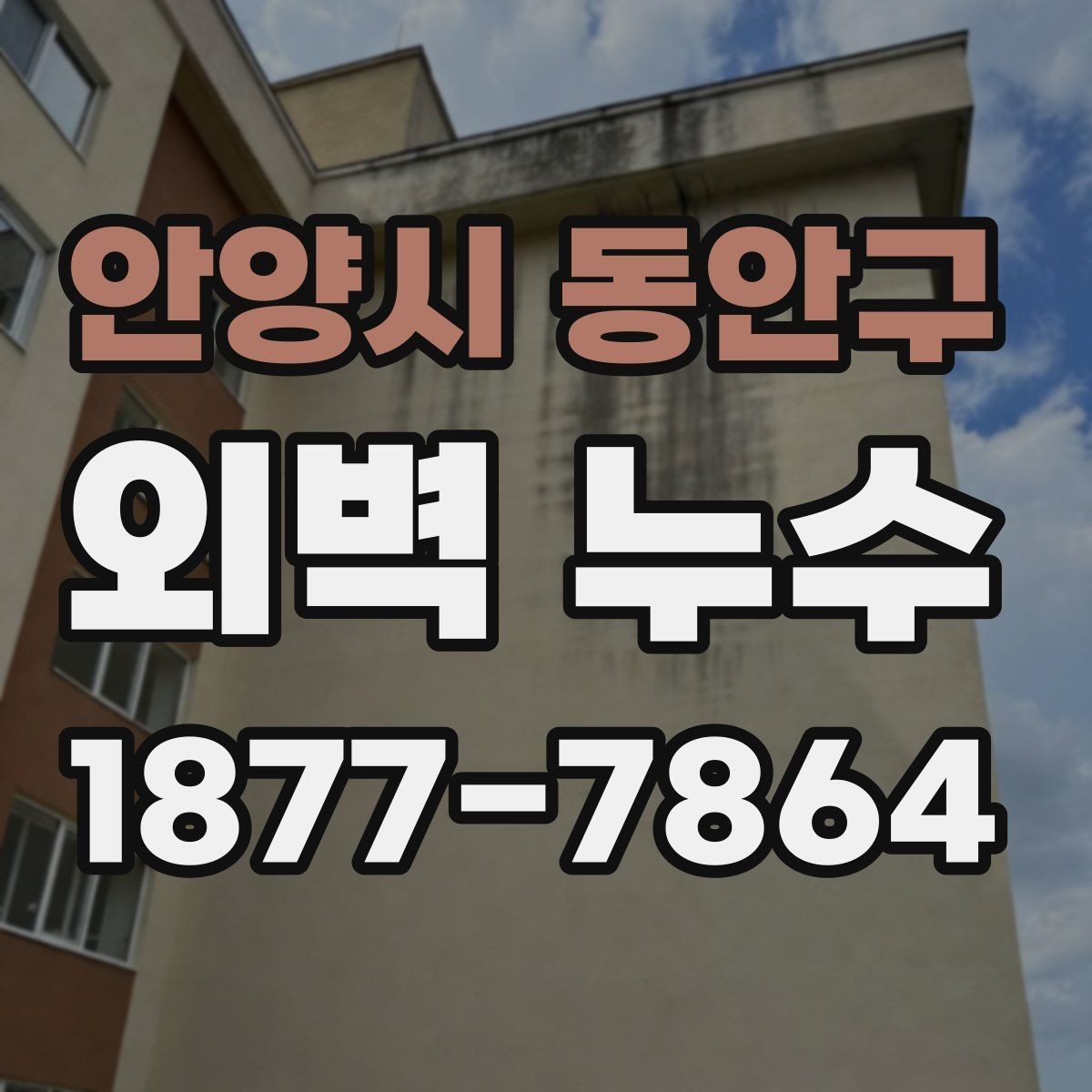 안양시 동안구 외벽 누수 공사 계획을 세울 때 고려할 점