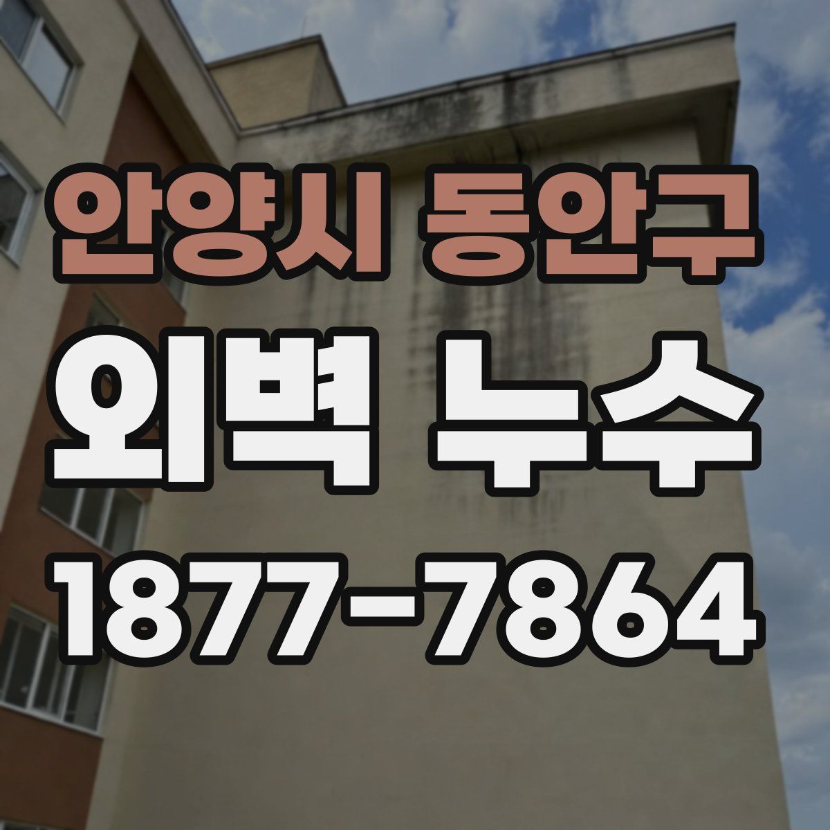 안양시 동안구 외벽 누수