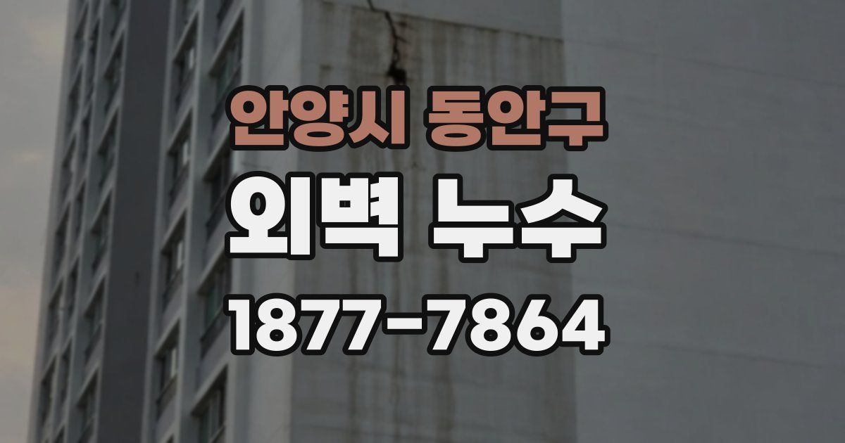 안양시 동안구 외벽 누수