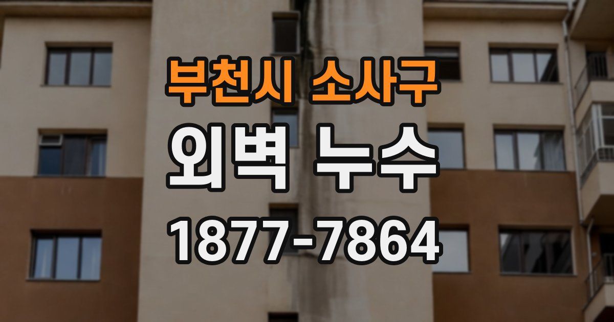 부천시 소사구 외벽 누수