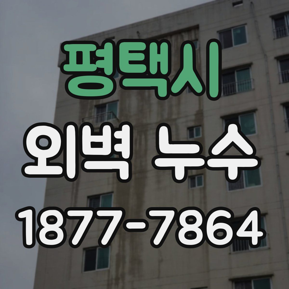 평택시 외벽 누수