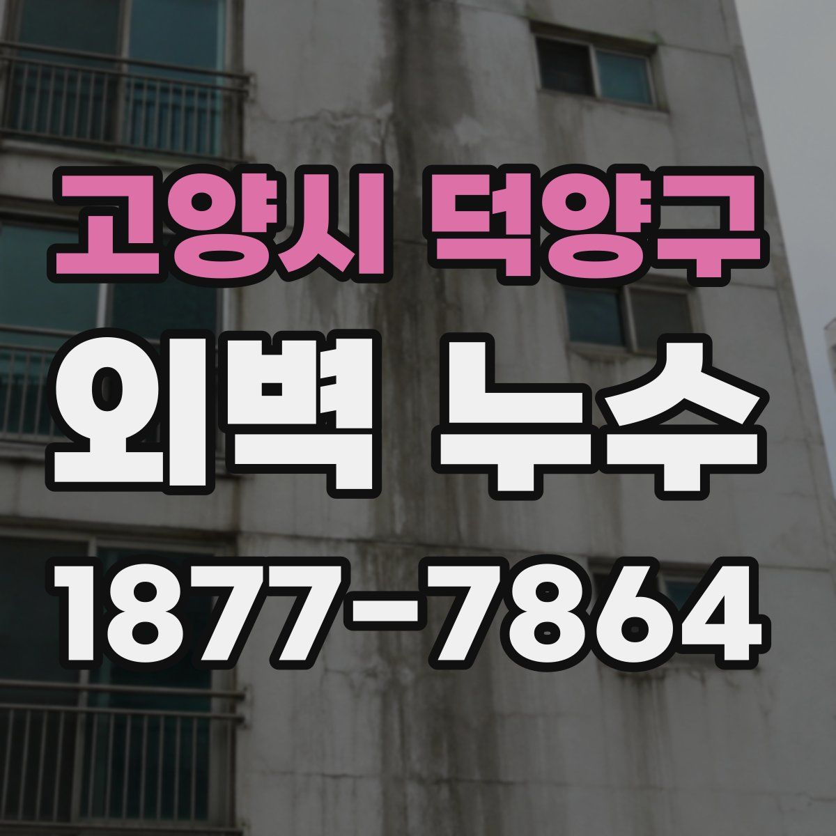 고양시 덕양구 외벽 누수