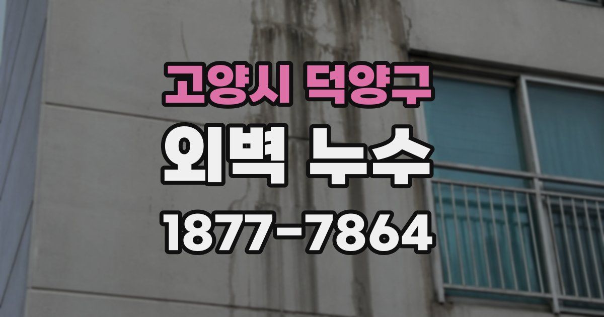 고양시 덕양구 외벽 누수