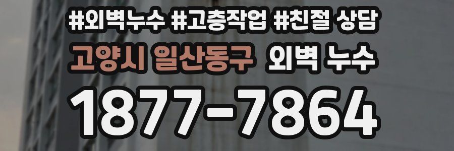 고양시 일산동구 외벽 누수