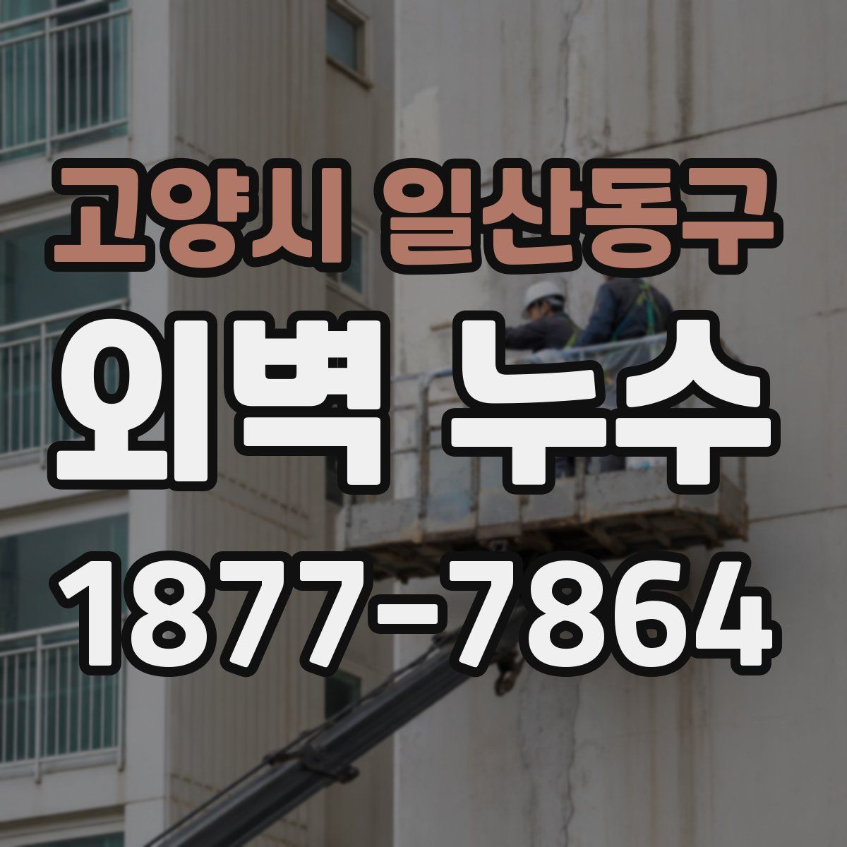 고양시 일산동구 외벽 누수