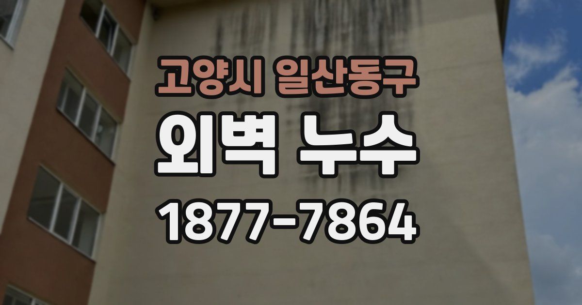 고양시 일산동구 외벽 누수