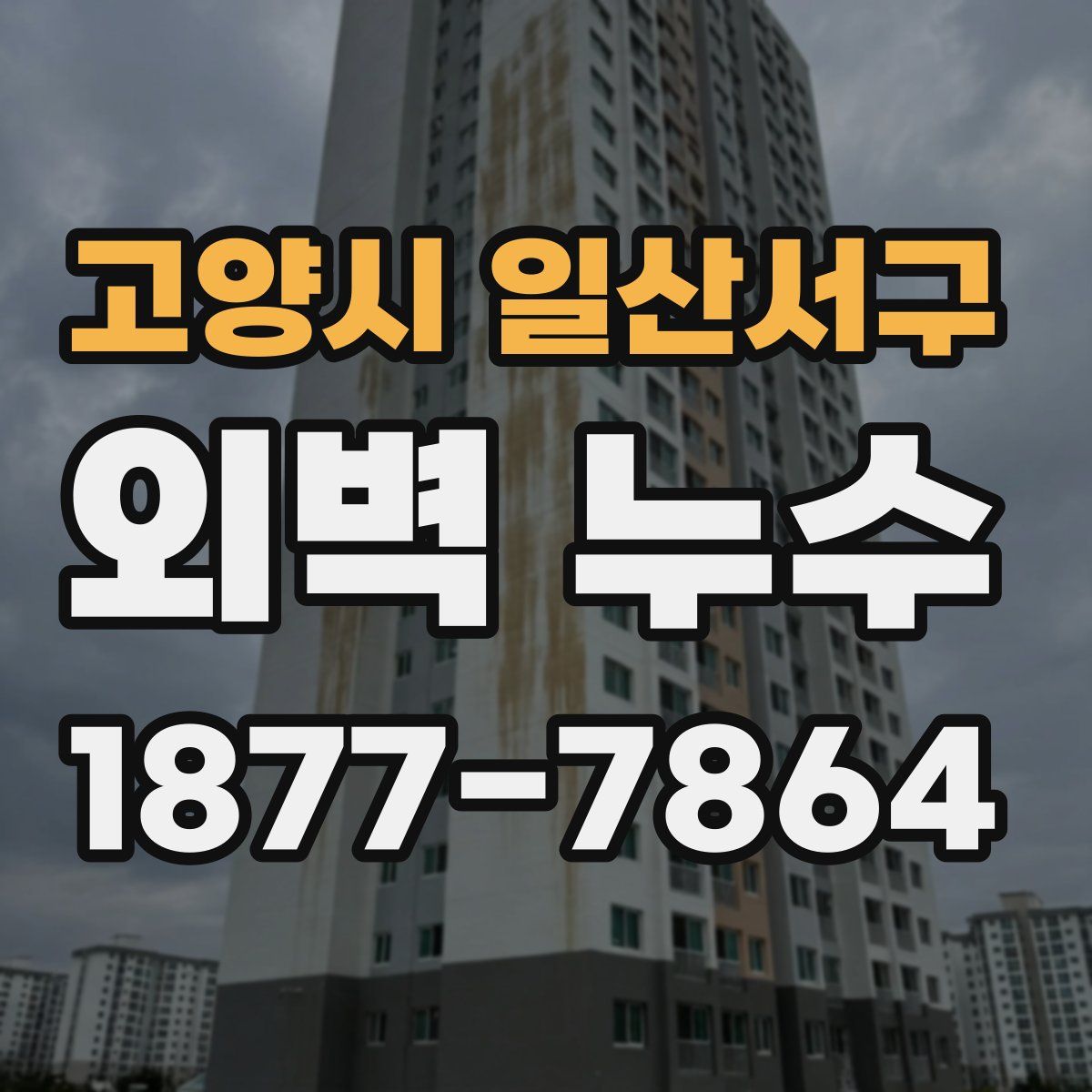 고양시 일산서구 외벽 누수