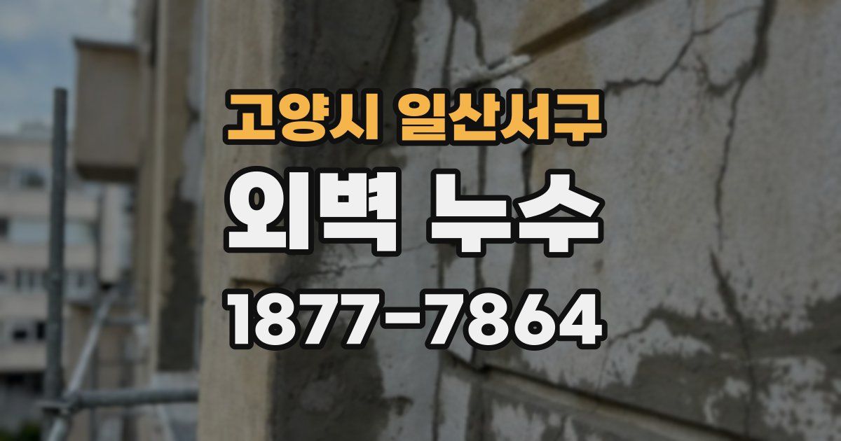 고양시 일산서구 외벽 누수