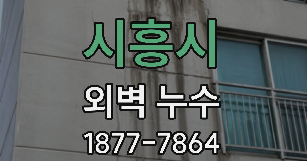 시흥시 외벽 누수
