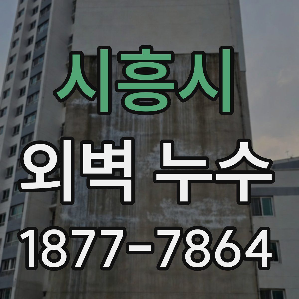 시흥시 외벽 누수