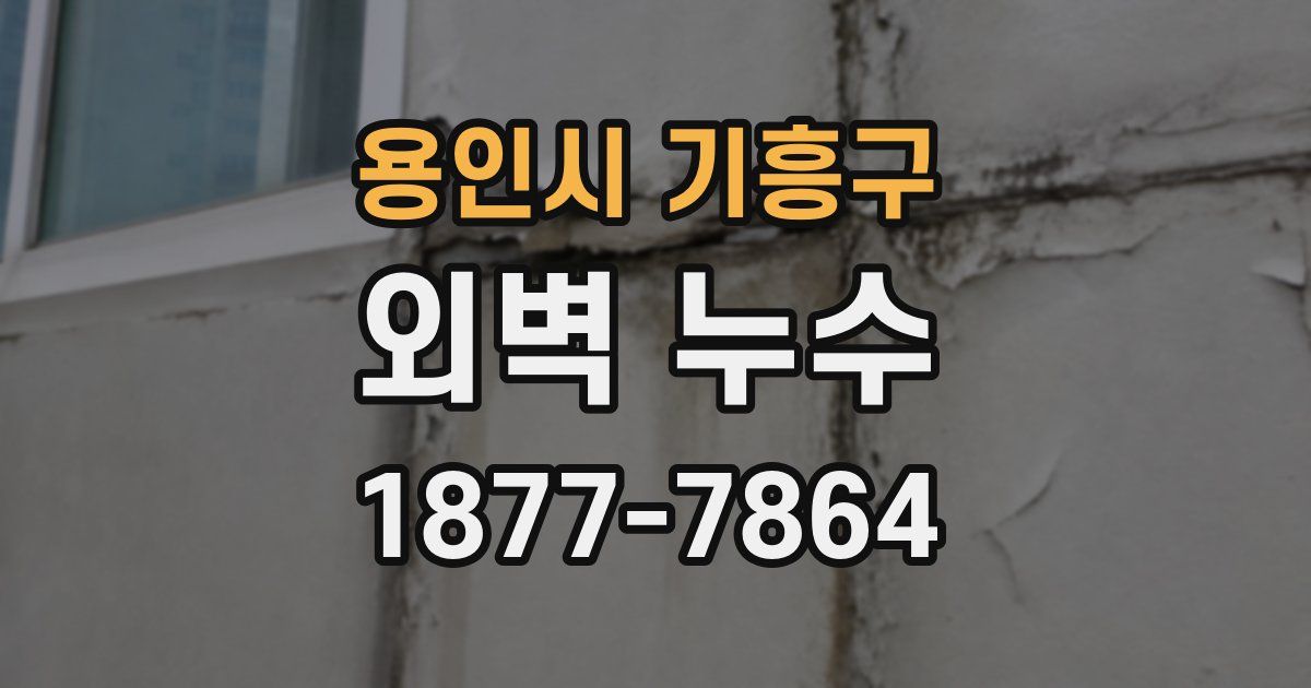 용인시 기흥구 외벽 누수