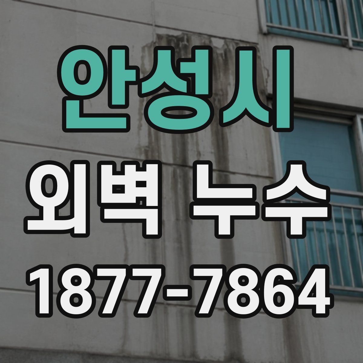안성시 외벽 누수
