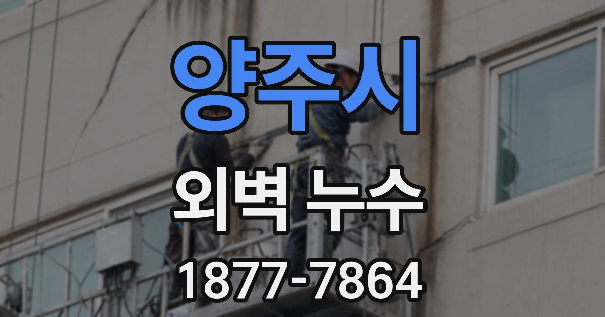 양주시 외벽 누수