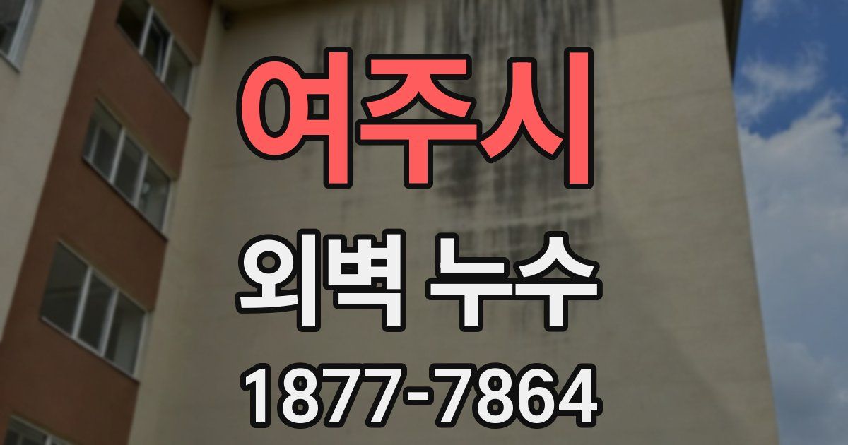 여주시 외벽 누수