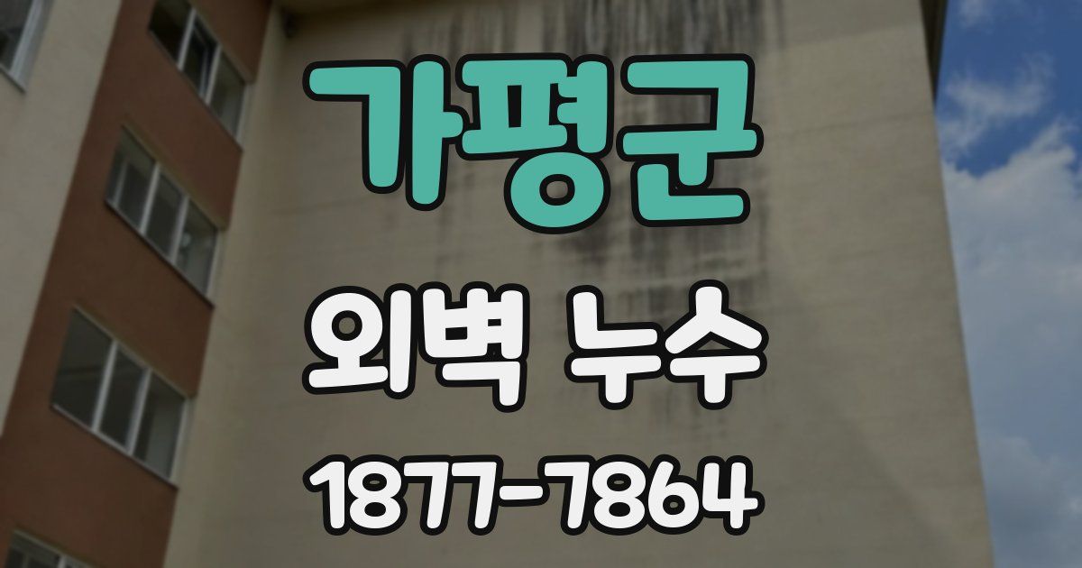 가평군 외벽 누수