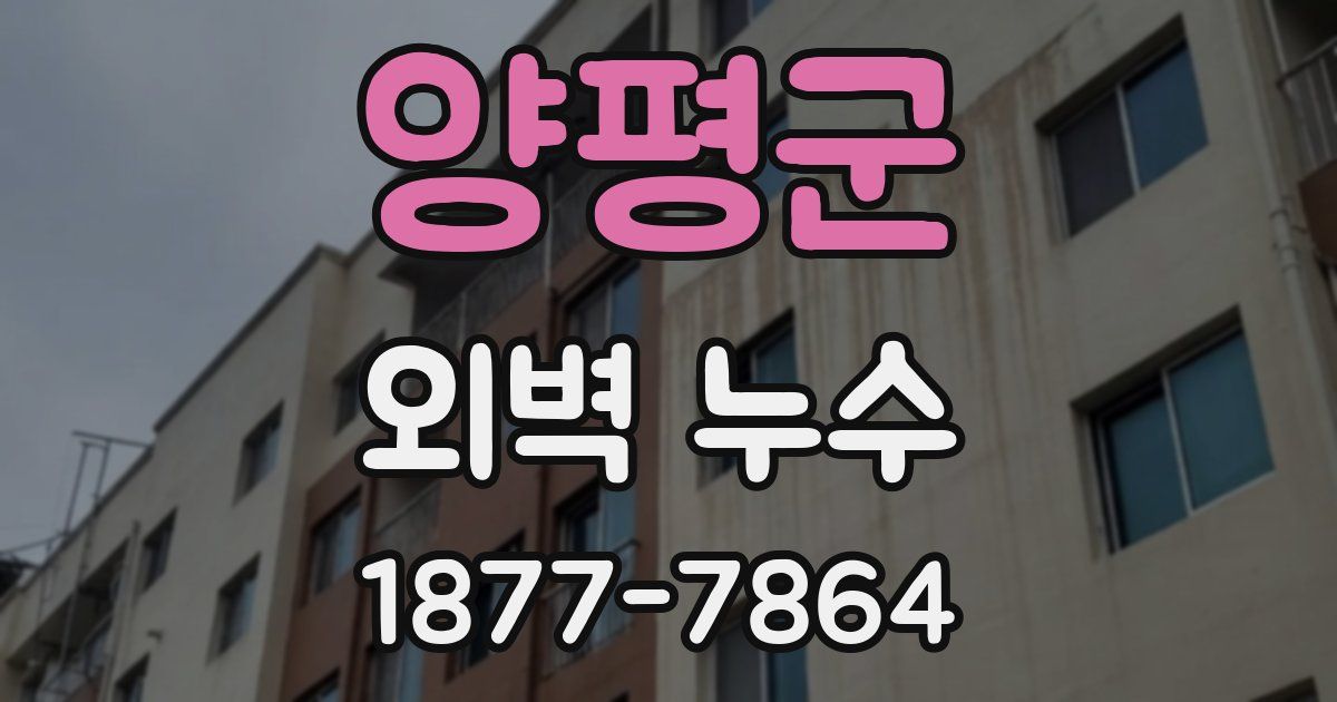 양평군 외벽 누수
