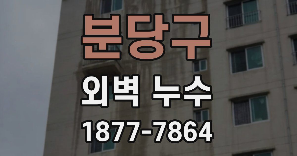 분당구 외벽 누수