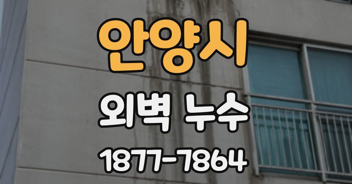 안양시 외벽 누수