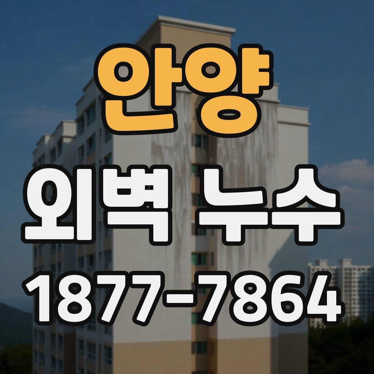 안양 외벽 누수 점검 시 전문가가 보는 항목