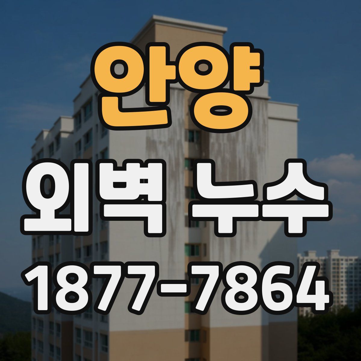 안양 외벽 누수