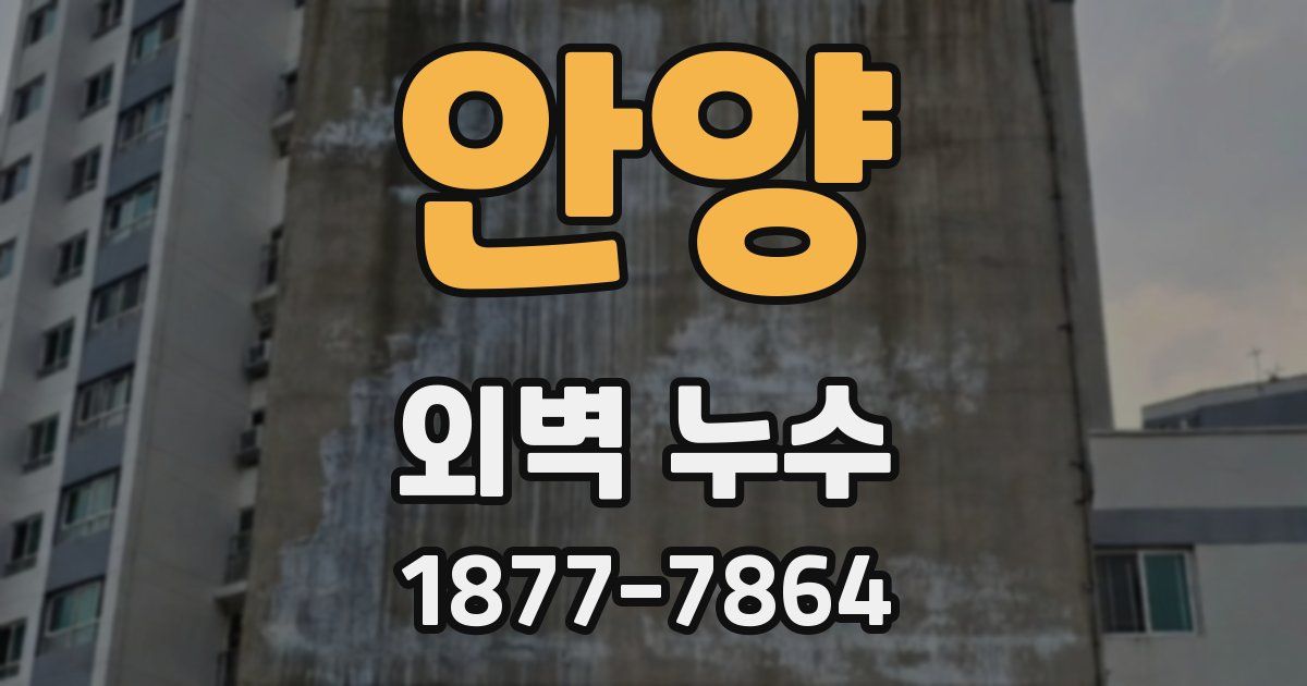 안양 외벽 누수
