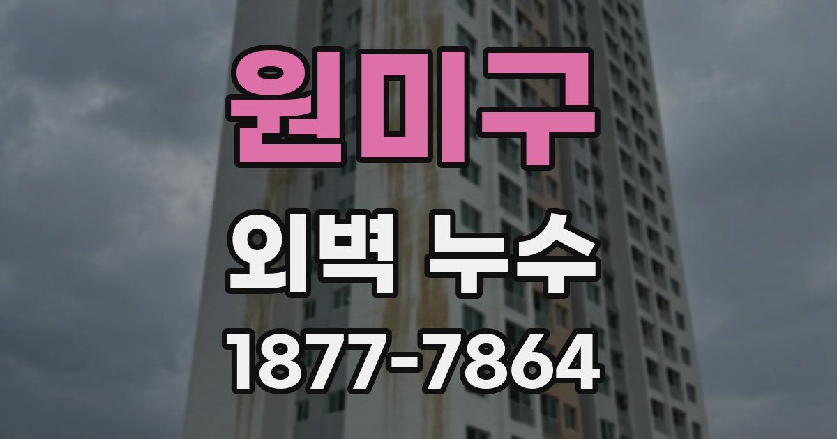 원미구 외벽 누수