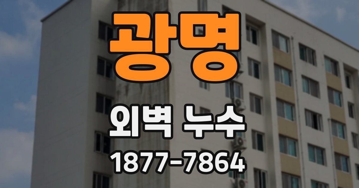 광명 외벽 누수
